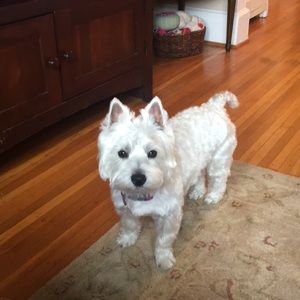 Meet your Posher, Brianna